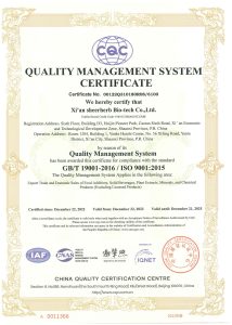 ISO9001