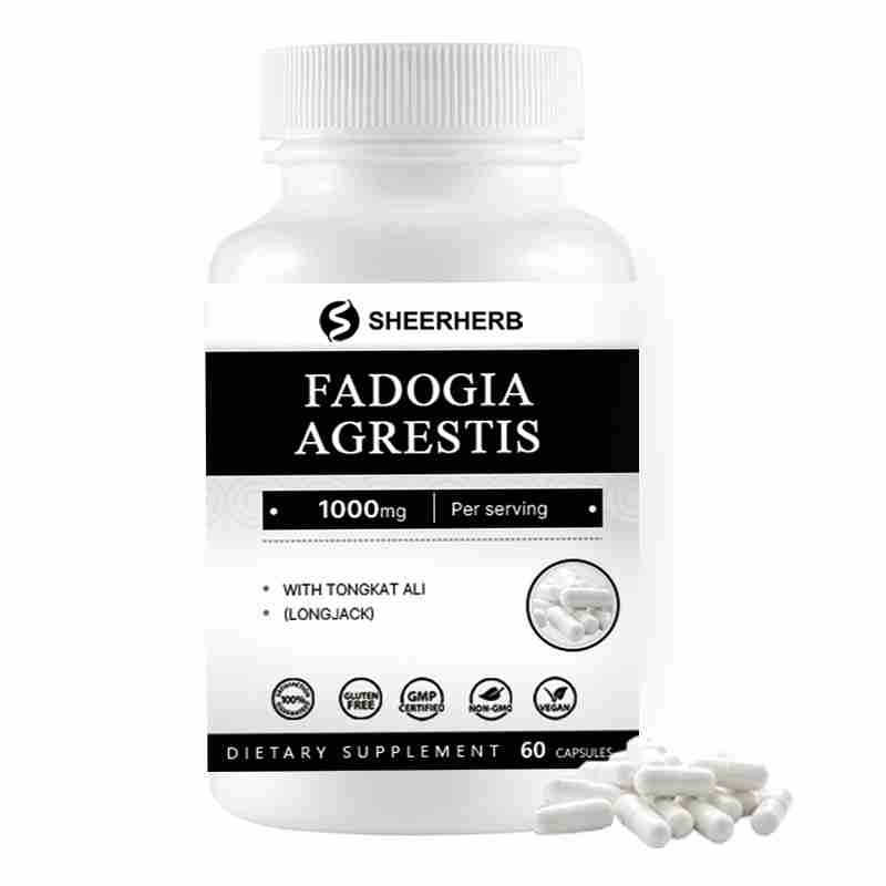Private Label Fadogia Agrestis Extract Capsules