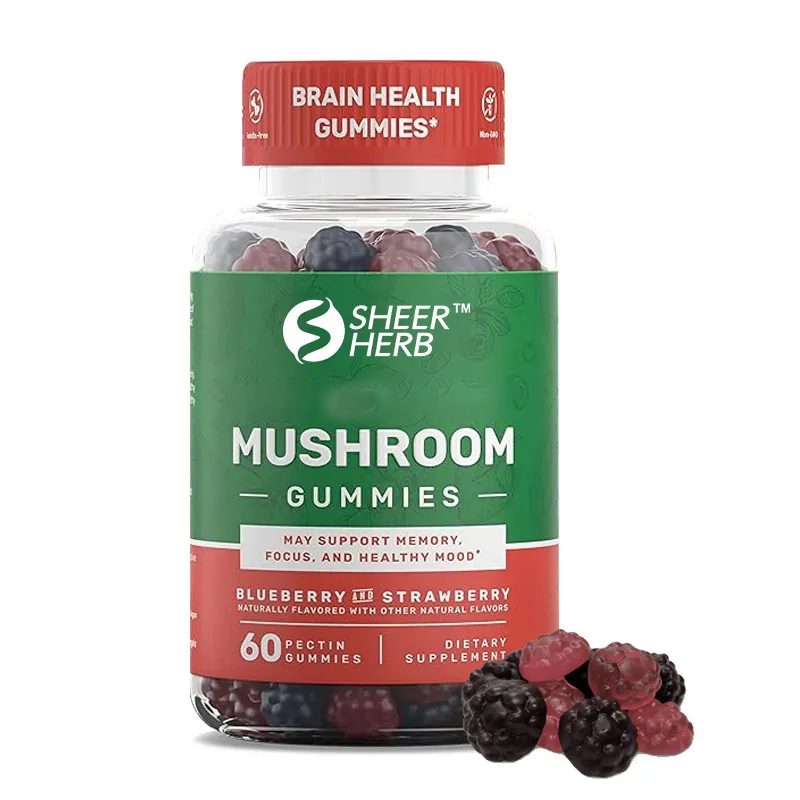 OEM Mushroom Gummies Brain Supplement 60 Gummies