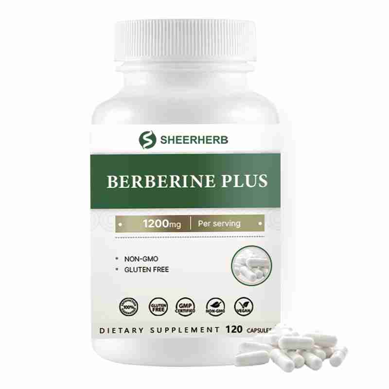 98% Natural Berberine Capsules Supplement OEM Custom