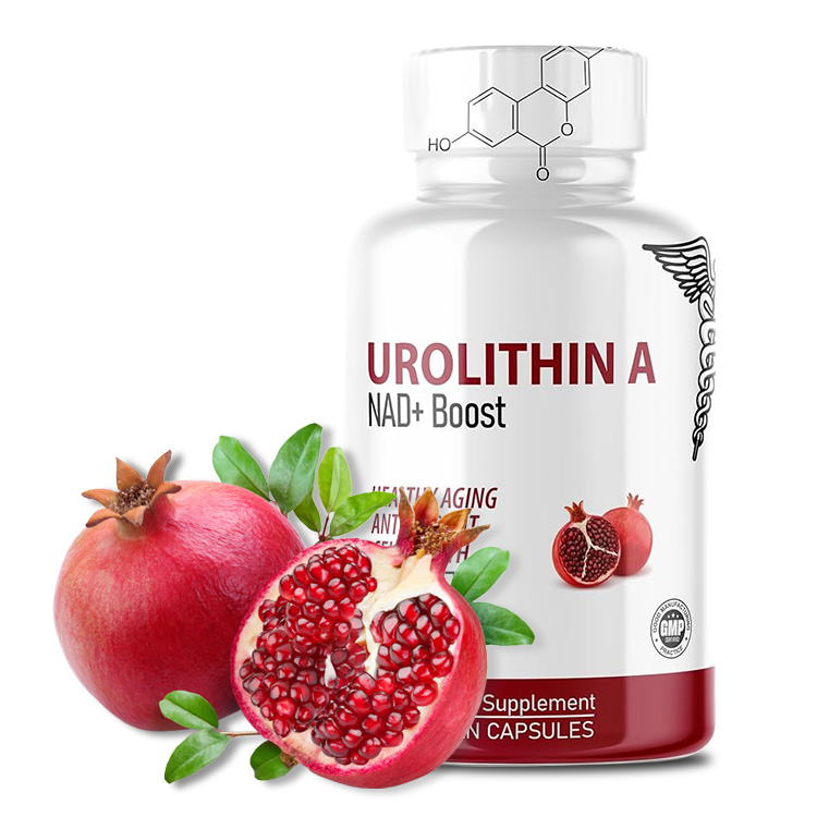 Urolithin A Capsules OEM & Private Label Manufacturer