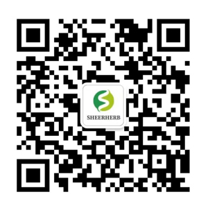 WeChat QR Code