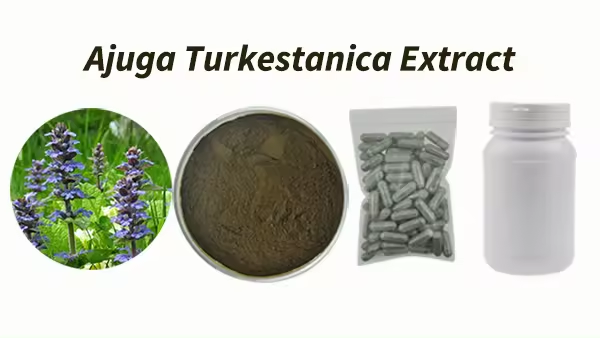 Turkesterone Capsules Ajuga Turkestanica Extract Ajuga Turkestanica Extract
