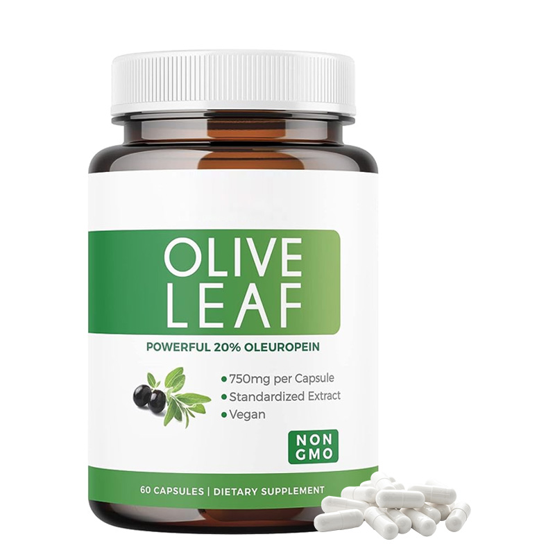 OEM Olive Leaf Extract Capsules Supplement 20% Oleuropein