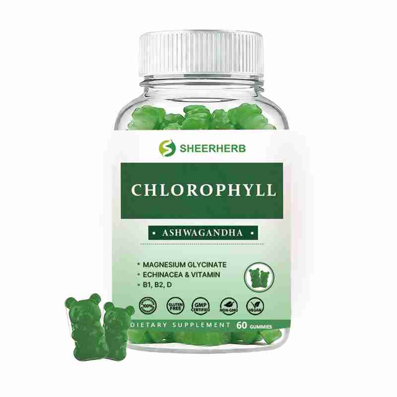 OEM Chlorophyll Gummies Supplement 60 Gummies