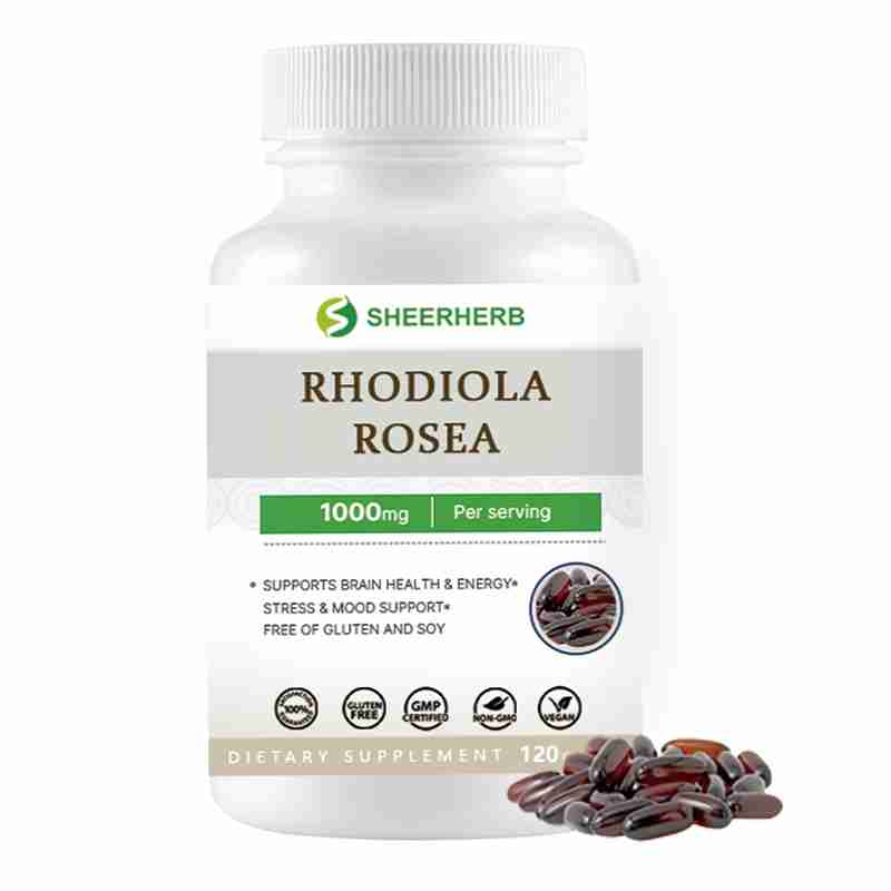 1000mg Rhodiola Rosea Capsules Softgels Supplement OEM