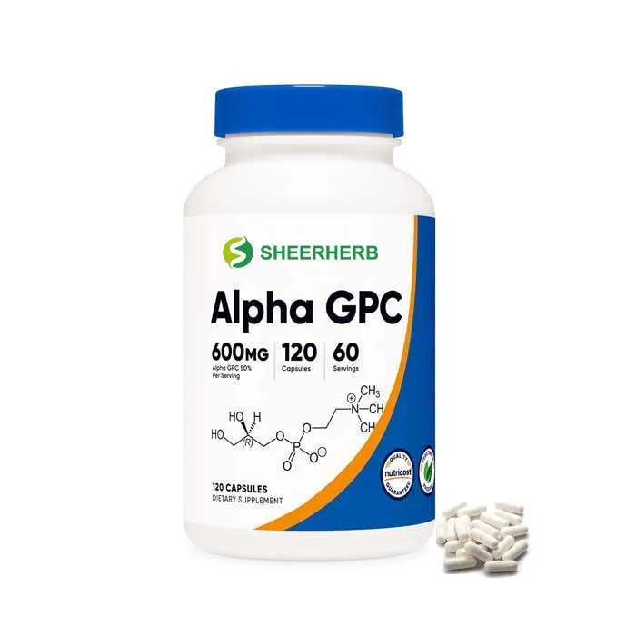 Private Label OEM 99% Alpha GPC Capsules Supplement