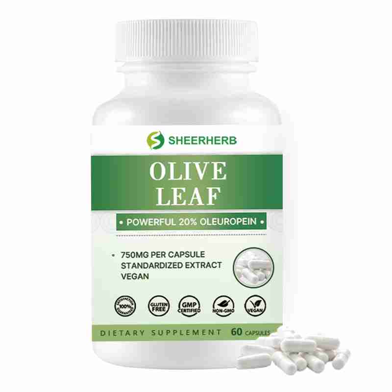 OEM Private Label Olive Leaf Capsules Supplement Manufacturing