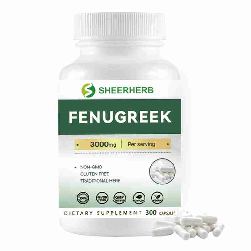 OEM Private Label Fenugreek Seed Capsules Supplement
